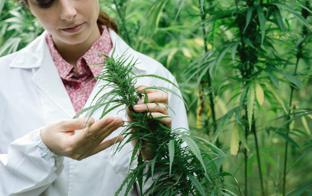 Cannabis Health Masterclass Navigating Specific Conditions